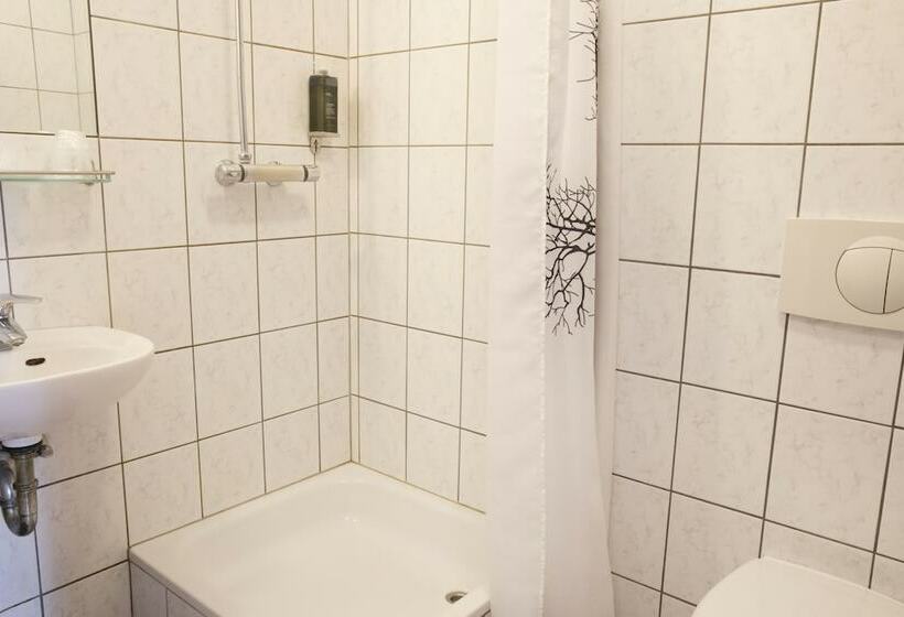 اتاق استاندارد, Fosshotel Baron