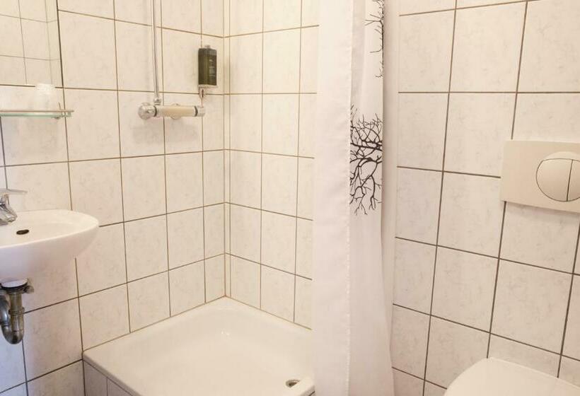 اتاق استاندارد یک نفره, Fosshotel Baron