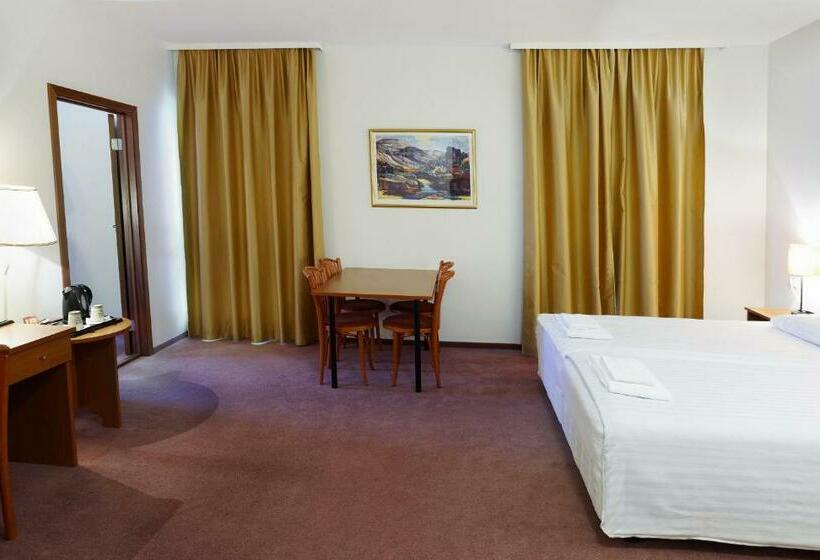 اتاق استاندارد چهار تخته, Fosshotel Baron