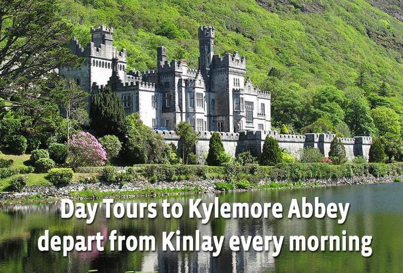 اتاق استاندارد, Kinlay Hostel Eyre Square