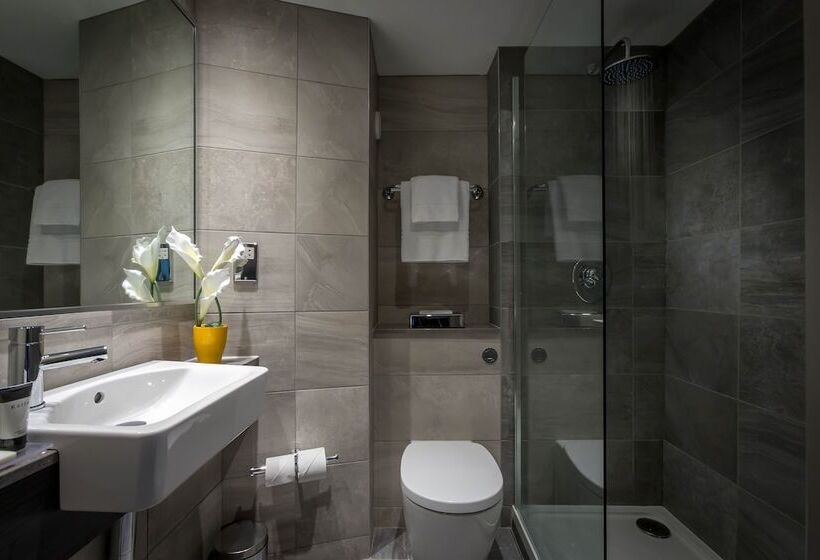 اتاق اجرایی, Maldron Hotel Pearse Street Dublin City