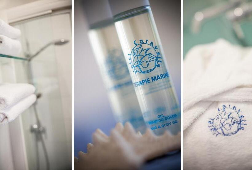 اتاق یک تخته با چشم‌انداز باغ, Caravelle Thalasso & Wellness