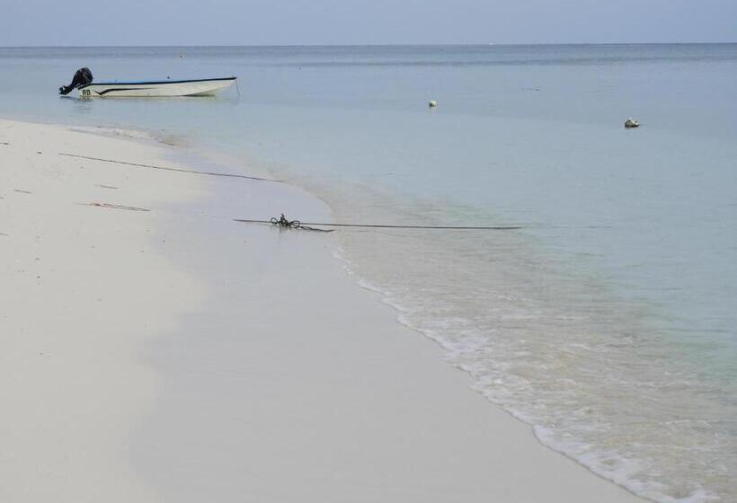 اتاق لوکس با بالکن, Karaa Village