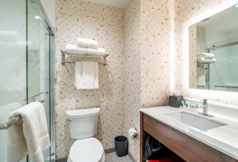 اتاق استاندارد با چشم‌انداز, Holiday Inn   Columbia   Downtown, An Ihg