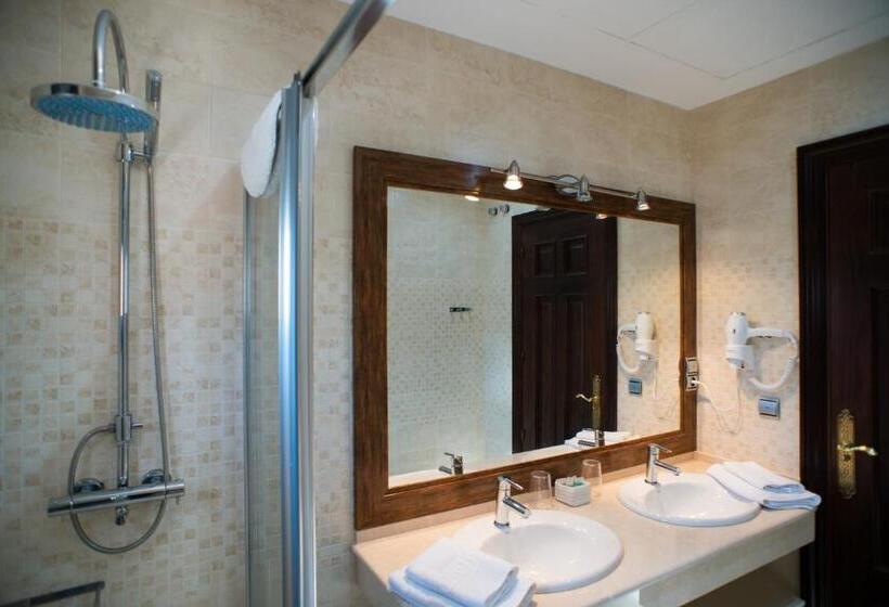 اتاق استاندارد با تخت دوبل, Coral Playa