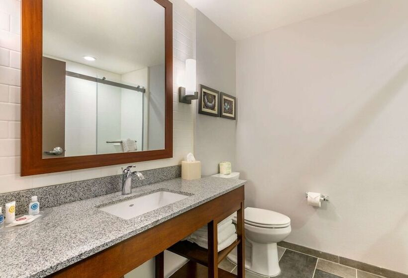 سوییت, Comfort Suites North Tupelo