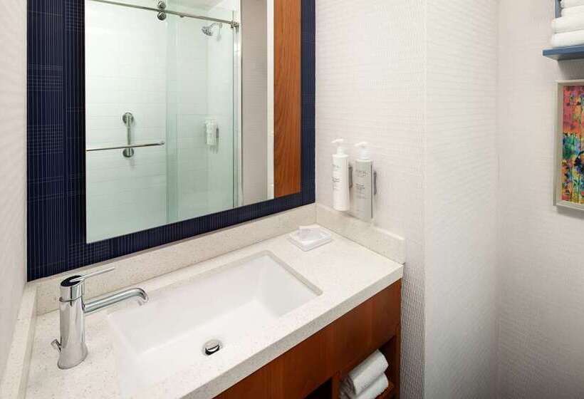 اتاق استاندارد با تخت بزرگ, Hampton Inn Oakland Downtown City Center