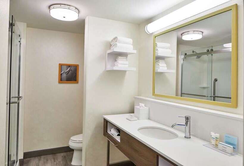 اتاق استاندارد با تخت بزرگ, Hampton Inn Oakland Downtown City Center