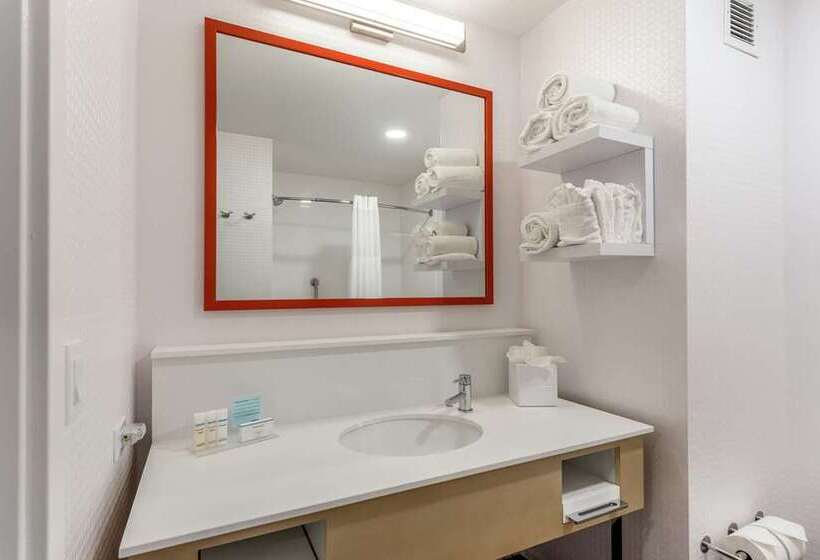 اتاق استاندارد با چشم‌انداز شهر, Hampton Inn Oakland Downtown City Center