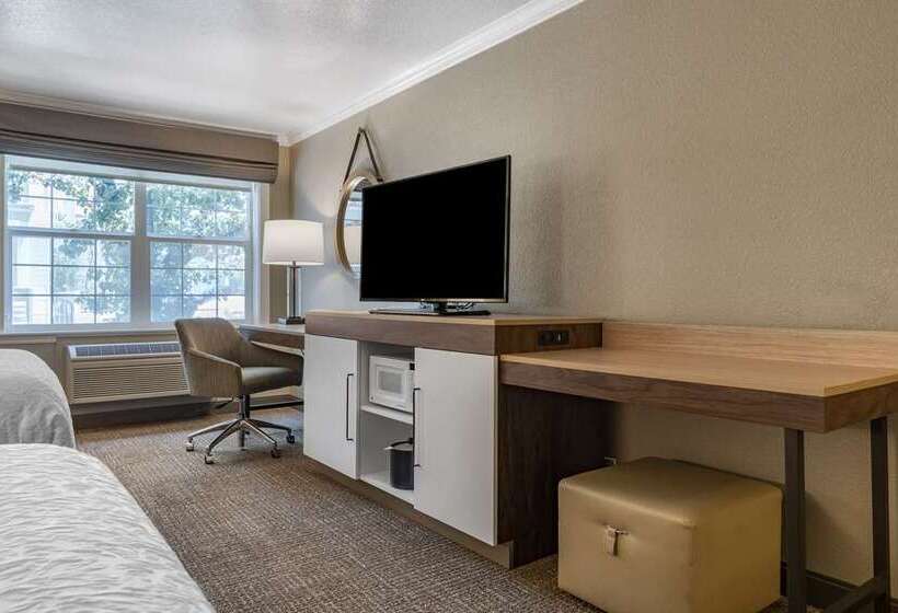 اتاق استاندارد با چشم‌انداز شهر, Hampton Inn Oakland Downtown City Center