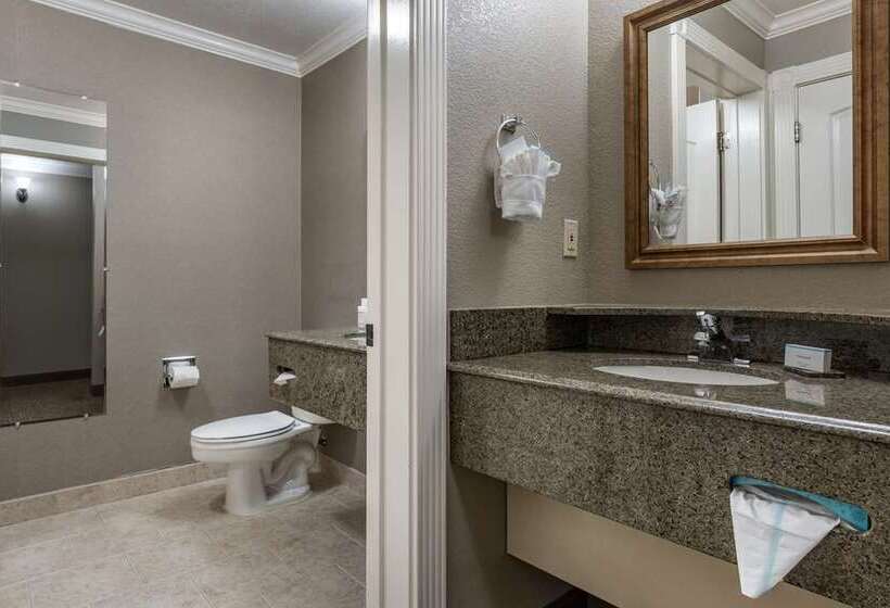 اتاق استاندارد با چشم‌انداز شهر, Hampton Inn Oakland Downtown City Center