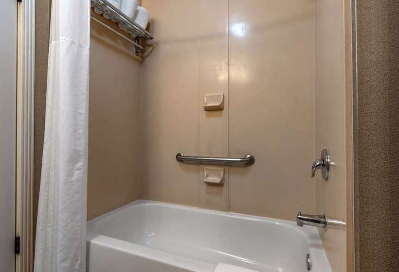 اتاق استاندارد با چشم‌انداز شهر, Hampton Inn Oakland Downtown City Center