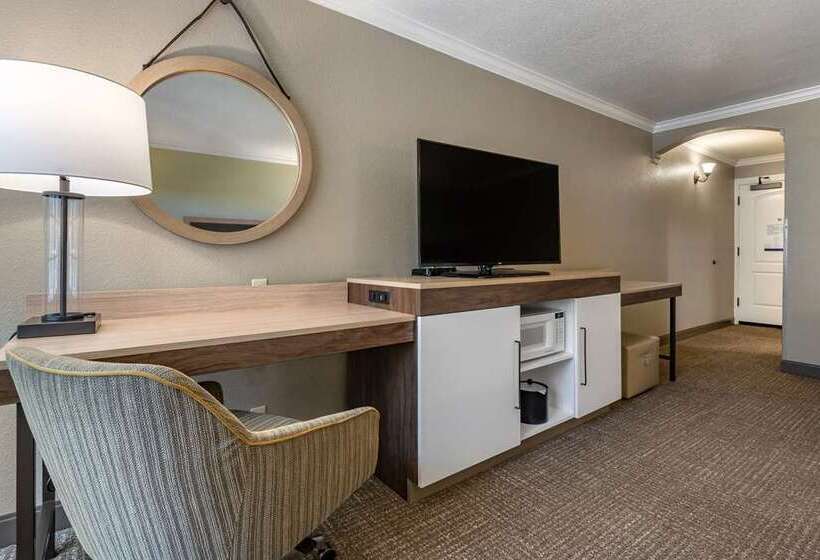 اتاق استاندارد با چشم‌انداز شهر, Hampton Inn Oakland Downtown City Center