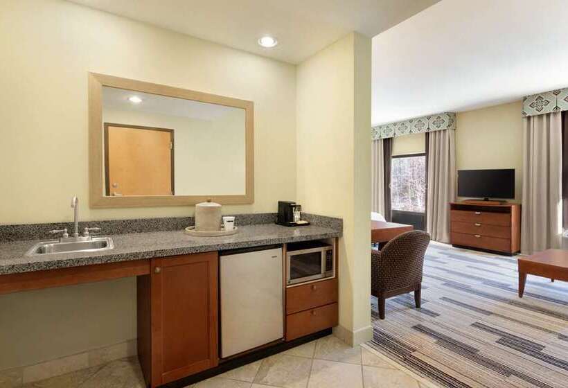 اتاق استاندارد با تخت بزرگ, Hampton Inn West Valley Salt Lake City