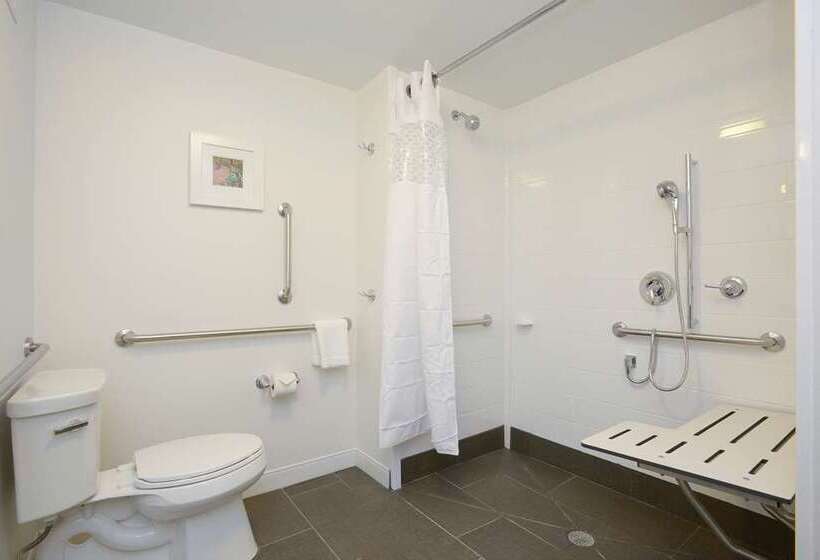 اتاق استاندارد با تخت بزرگ برای معلولان, Hampton Inn West Valley Salt Lake City