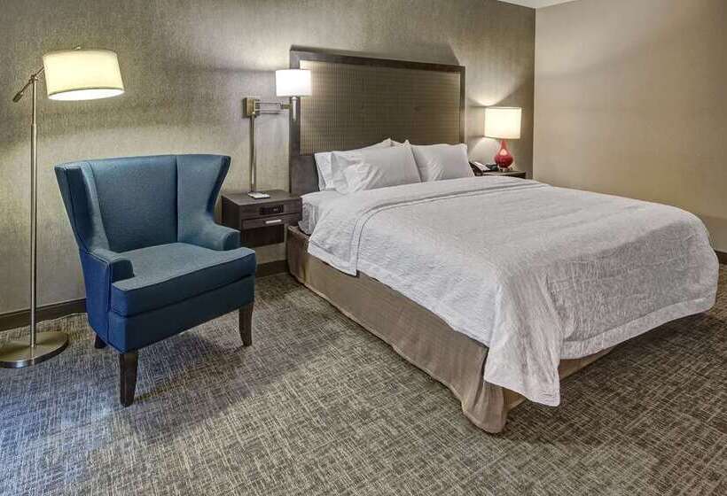 اتاق استاندارد با تخت بزرگ برای معلولان, Hampton Inn West Valley Salt Lake City