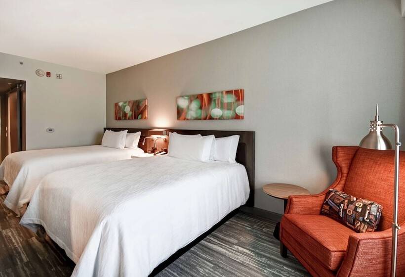 اتاق استاندارد با 2 تخت دوبل, Hilton Garden Inn Lansing West