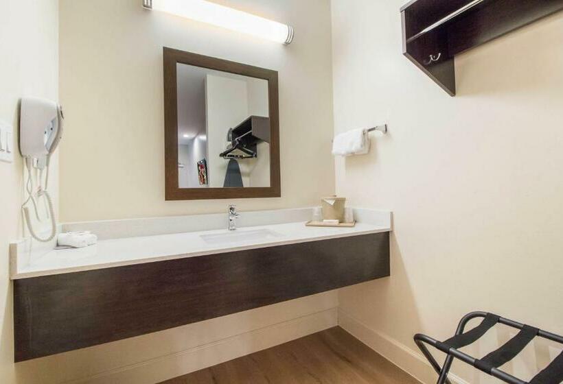 اتاق لوکس با تخت بزرگ, Red Roof Inn Houston  Willowbrook
