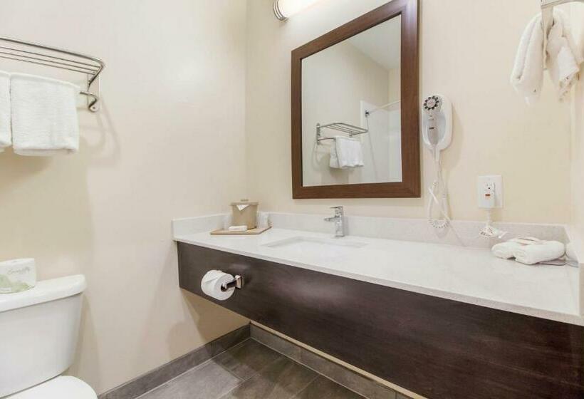 اتاق لوکس با تخت دو نفره بزرگ, Red Roof Inn Houston  Willowbrook