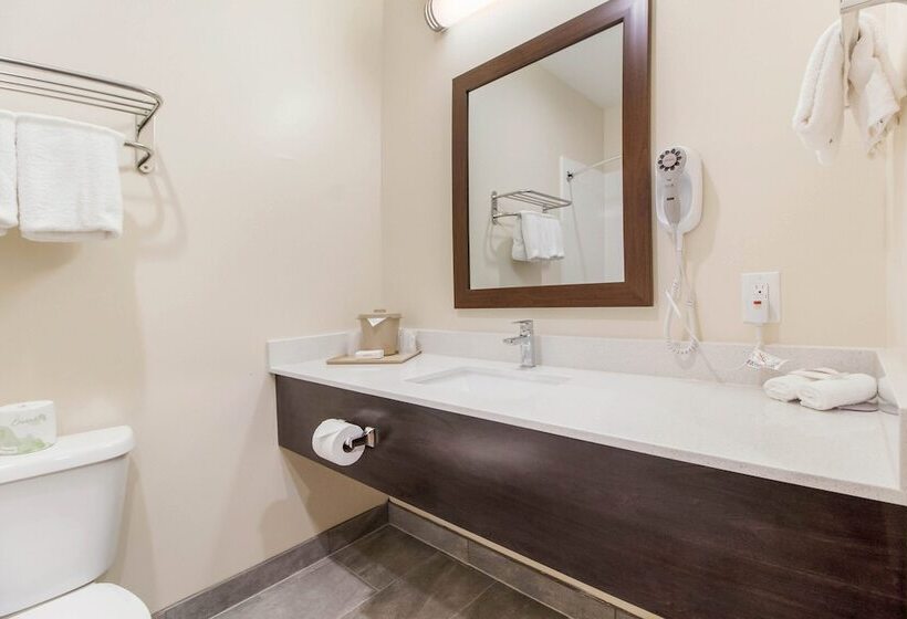 اتاق لوکس, Red Roof Inn Houston  Willowbrook