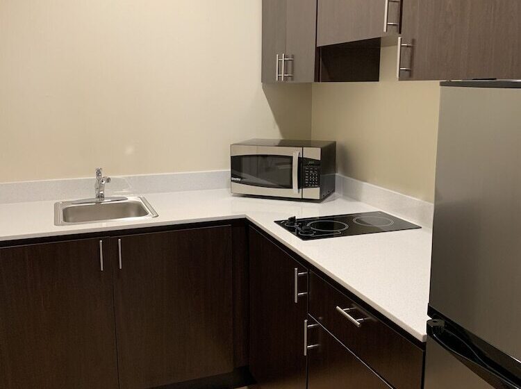 اتاق لوکس, Red Roof Inn Houston  Willowbrook