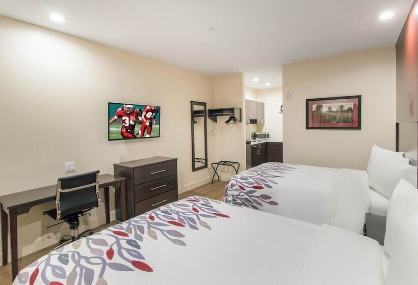 اتاق لوکس, Red Roof Inn Houston  Willowbrook