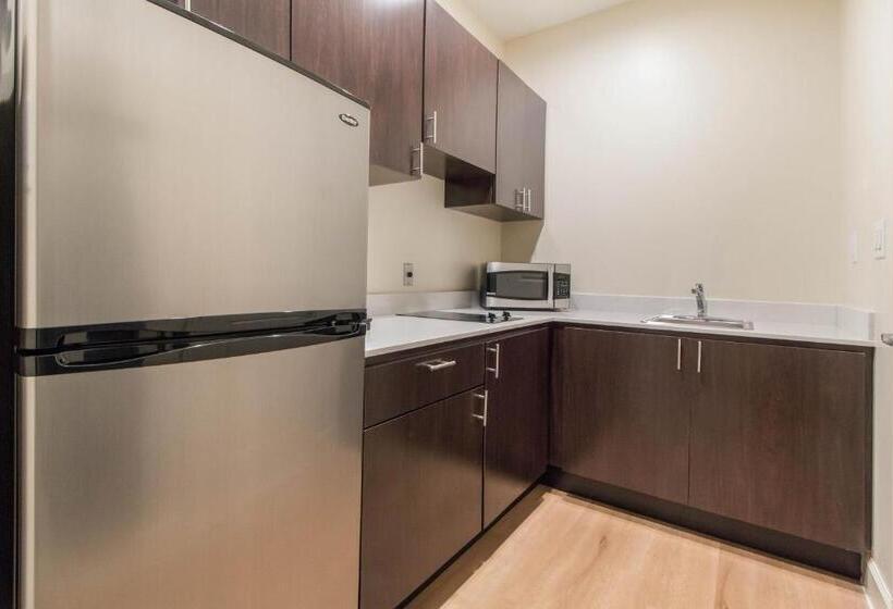 اتاق لوکس با تخت دو نفره بزرگ, Red Roof Inn Houston  Willowbrook