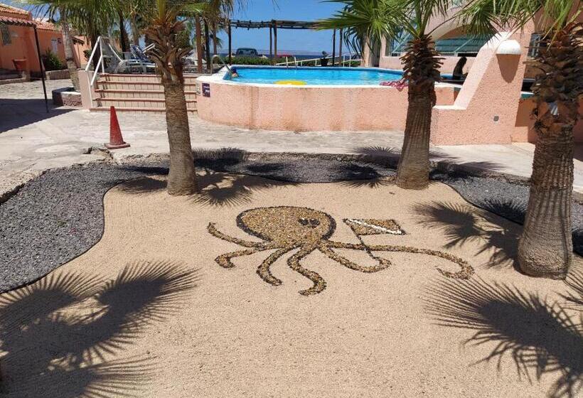 اتاق استاندارد با چشم‌انداز دریا, Club Cantamar Beach Hotel & Marina