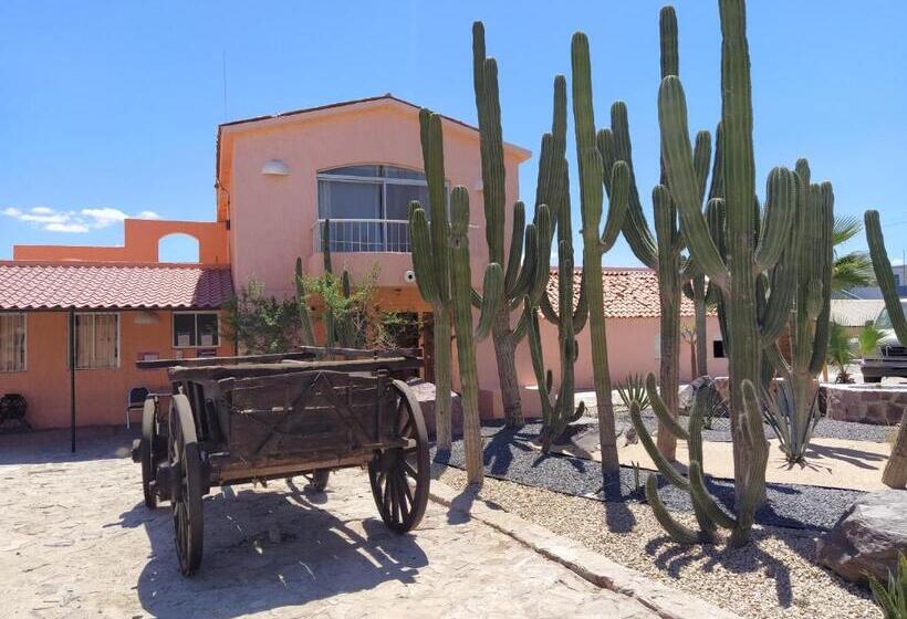 سوییت جونیور با بالکن, Club Cantamar Beach Hotel & Marina