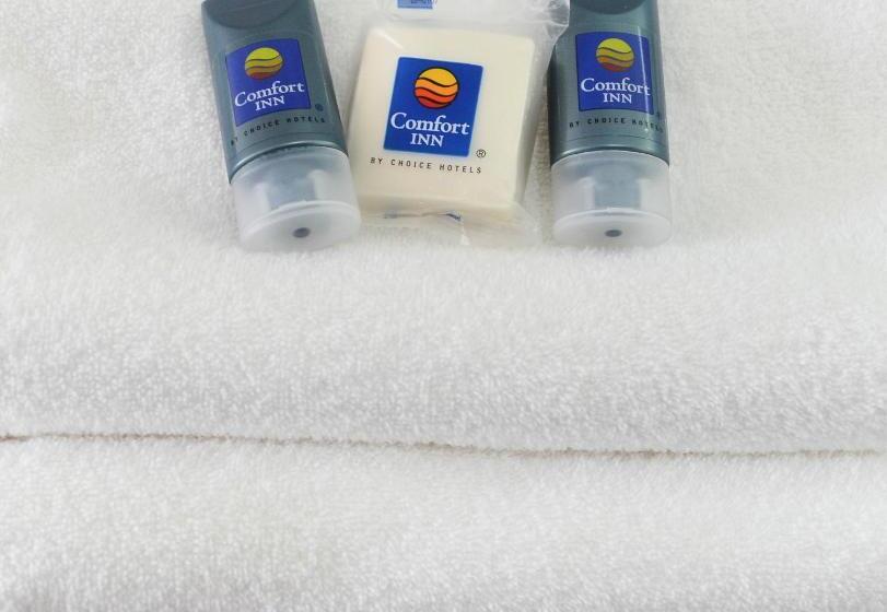 اتاق استاندارد, Comfort Inn Queretaro
