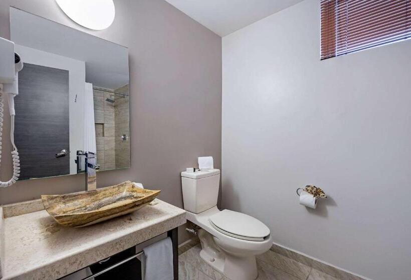 اتاق استاندارد, Comfort Inn Queretaro