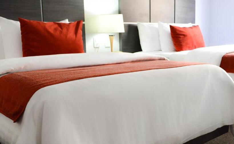 اتاق استاندارد با تخت بزرگ, Comfort Inn Queretaro