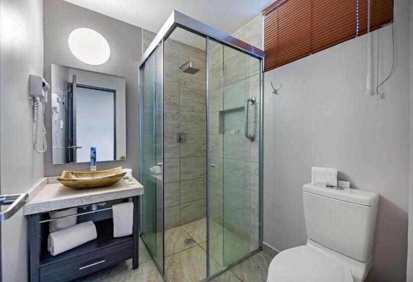 اتاق استاندارد با تخت بزرگ, Comfort Inn Queretaro