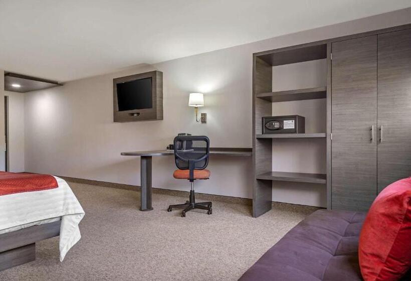 اتاق استاندارد با تخت بزرگ, Comfort Inn Queretaro