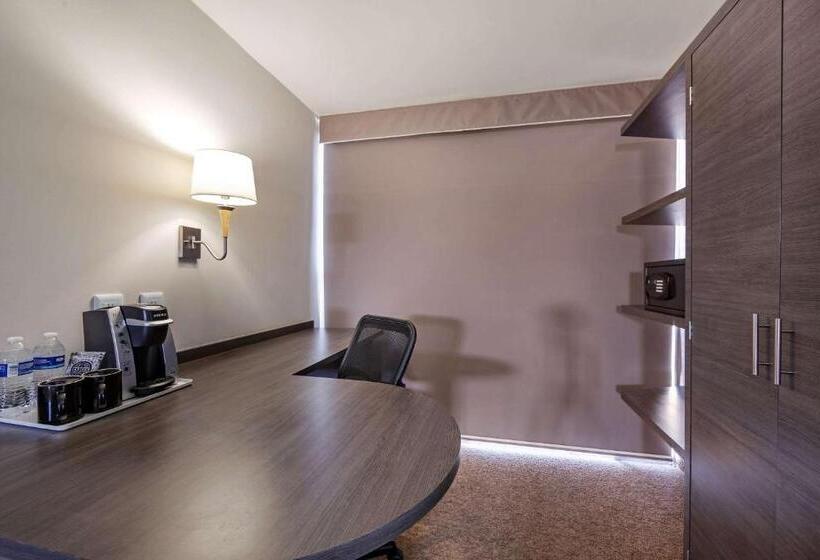 اتاق استاندارد با تخت بزرگ, Comfort Inn Queretaro