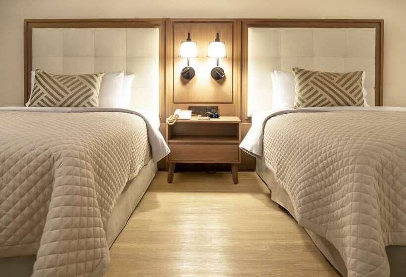 اتاق لوکس, Hilton Mexico City Airport