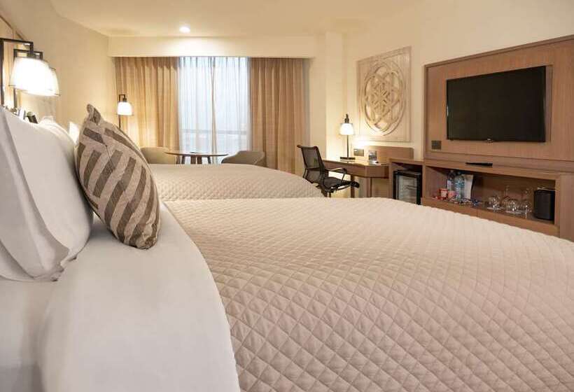اتاق لوکس, Hilton Mexico City Airport
