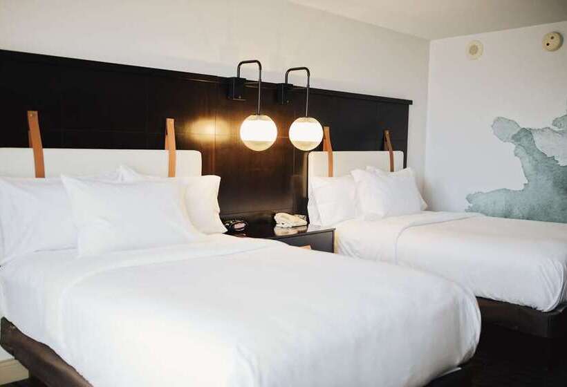اتاق استاندارد, Hilton Mexico City Airport