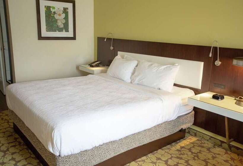 اتاق استاندارد با تخت بزرگ, Hilton San Luis Potosi