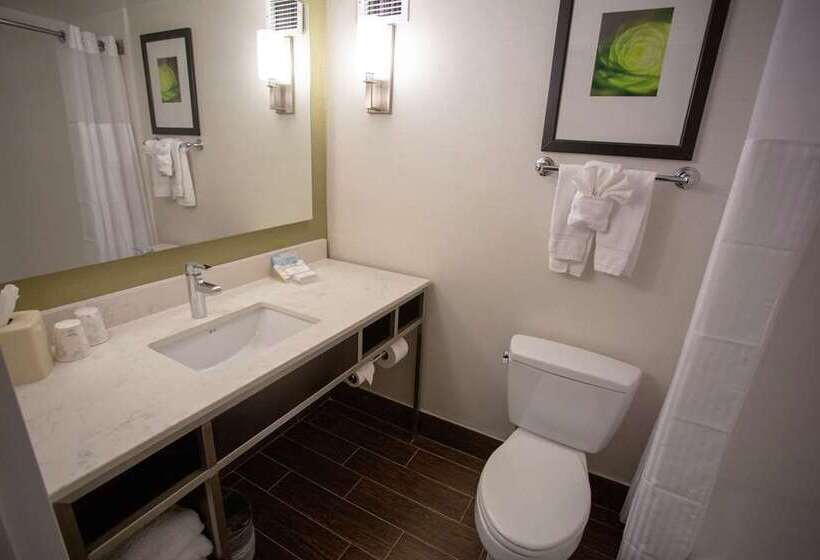 اتاق استاندارد با تخت بزرگ, Hilton San Luis Potosi