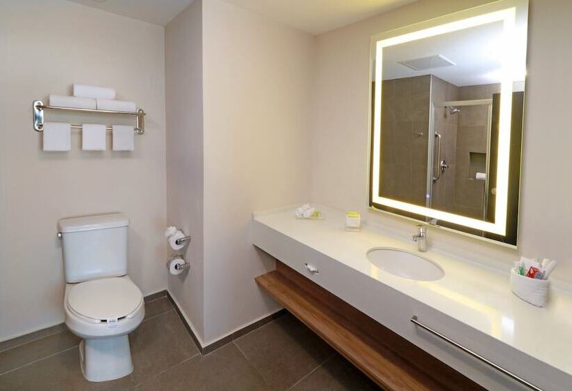 اتاق استاندارد با 2 تخت دوبل, Holiday Inn San Luis Potosi Quijote By Ihg