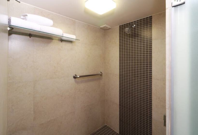 اتاق استاندارد با 2 تخت دوبل, Holiday Inn San Luis Potosi Quijote By Ihg
