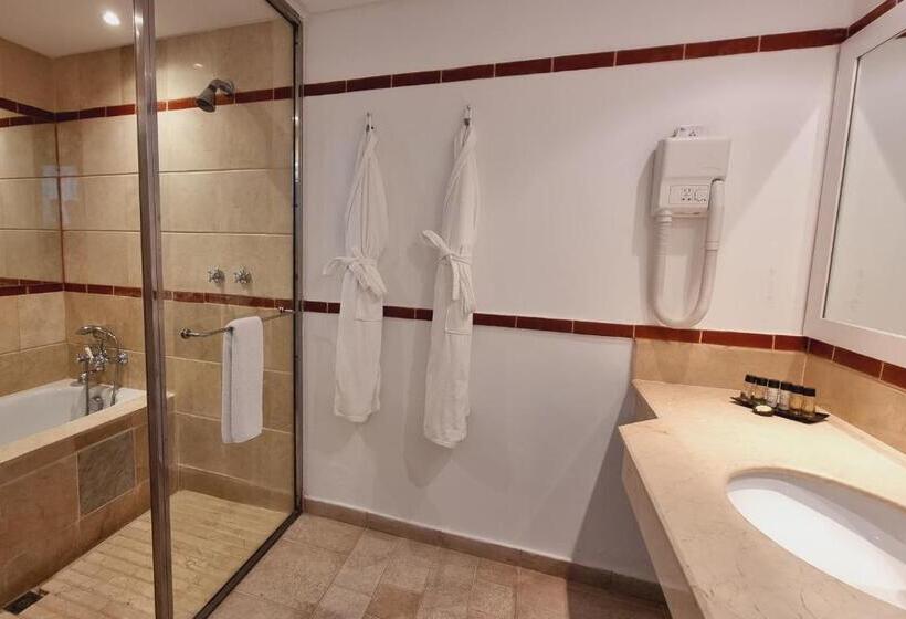带泳池观景的豪华房, Marina Smir Hotel & Spa