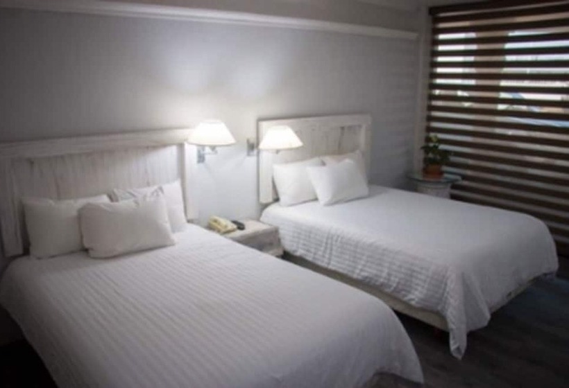 Superior Room, Paraiso Express