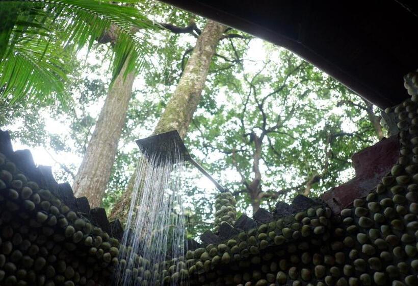 سوئیت جونیور با چشم‌انداز باغ, Bamboo Bungalows