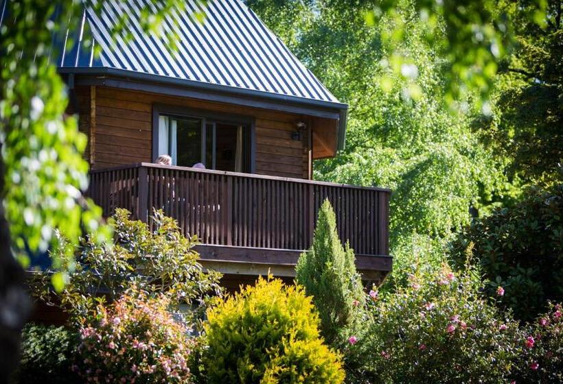 سوییت سوپریور, Alpine Lodge Motel