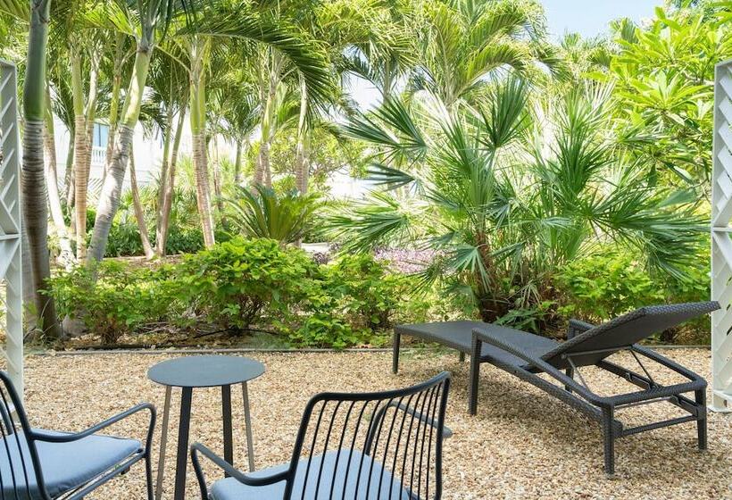 اتاق استاندارد با تخت دوبل, Curaçao Marriott Beach Resort