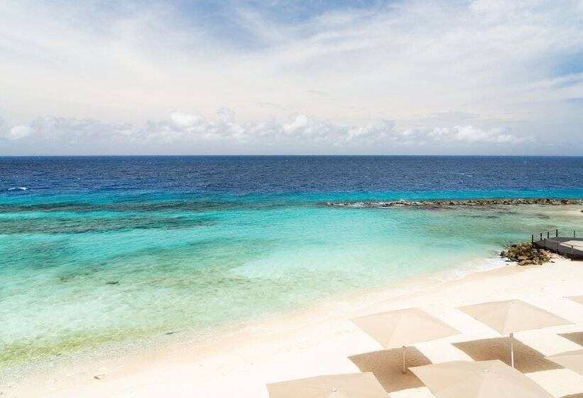 اتاق استاندارد با 2 تخت دوبل, Curaçao Marriott Beach Resort