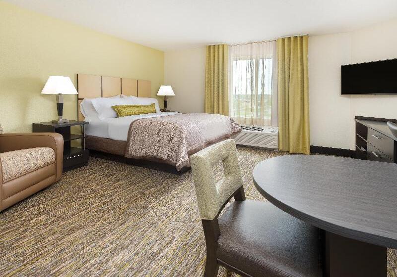 اتاق استاندارد با چشم‌انداز شهر, Doubletree By Hilton Rotterdam Centre