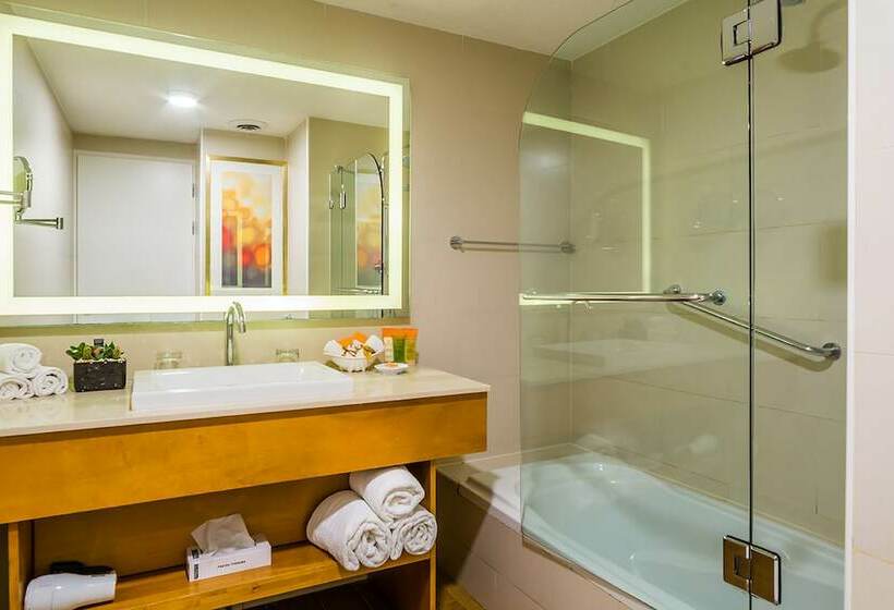 Club Room King Bed, Sunscape Curacao Resort Spa & Casino
